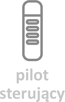 Pilot sterujący
